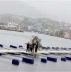 Furuv&aelig;rbitt over Os&oslash;yro