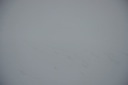 video 4